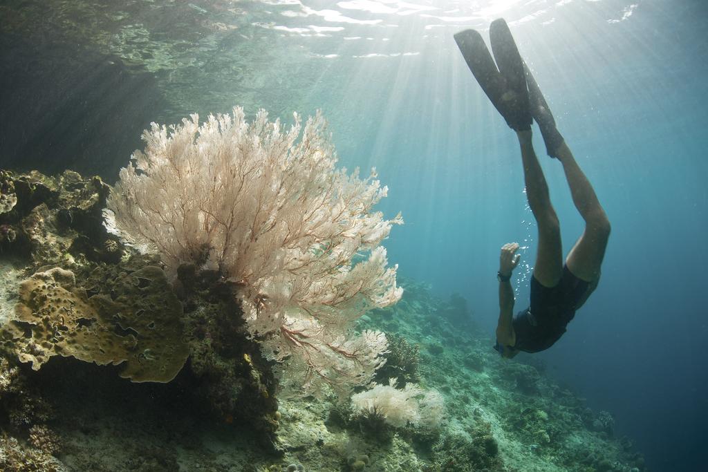 Villa Bahagia Nusa Lembongan  Luaran gambar
